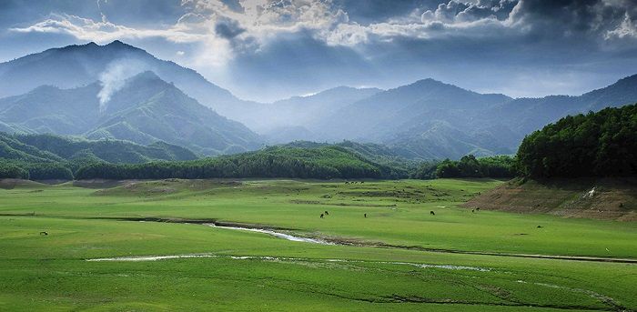 Khám Phá Vẻ Đẹp Hồ Hòa Trung – Ốc Đảo Xanh Giữa Lòng Đà Nẵng