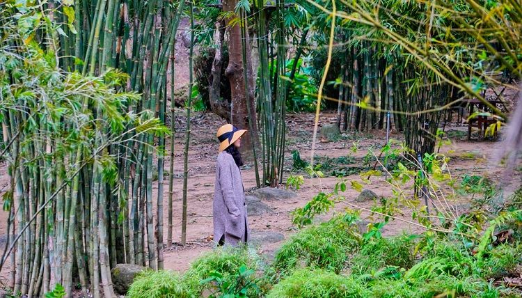 Khám Phá Sơn Trà Tịnh Viên – Không Gian An Yên Giữa Lòng Đà Nẵng