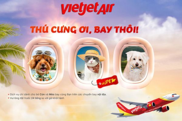 Thủ tục cho hành khách mang động vật: Hướng dẫn chi tiết từ Vietjet