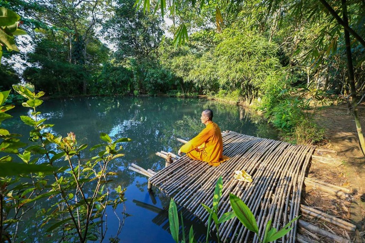 Khám Phá Sơn Trà Tịnh Viên – Không Gian An Yên Giữa Lòng Đà Nẵng