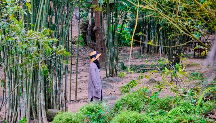 Khám Phá Sơn Trà Tịnh Viên – Không Gian An Yên Giữa Lòng Đà Nẵng