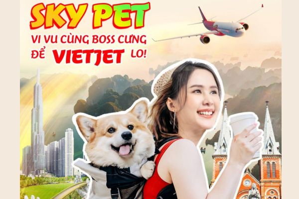 Thủ tục cho hành khách mang động vật: Hướng dẫn chi tiết từ Vietjet
