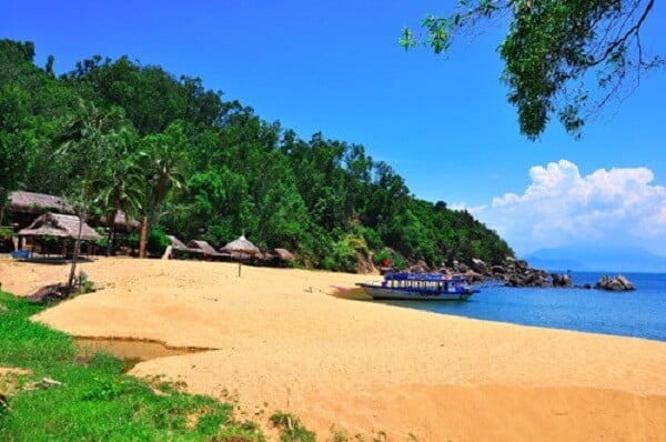 Trải Nghiệm Hoang Dã Ở Khu Cắm Trại Bãi Cát Vàng – Khám Phá Cùng Vietjet